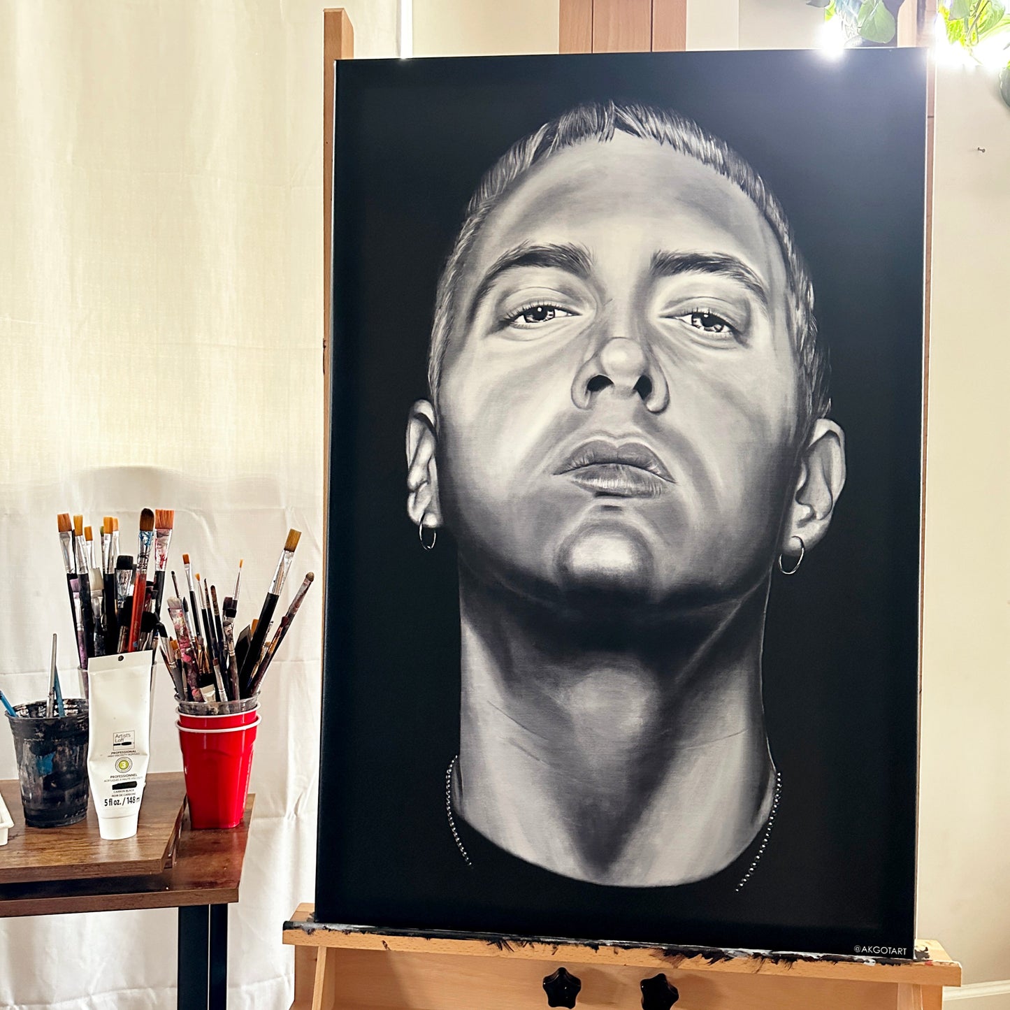 Eminem Canvas Print